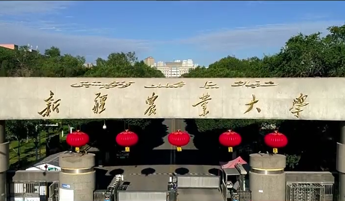 新疆農(nóng)業(yè)大學(xué)實(shí)驗(yàn)室項(xiàng)目